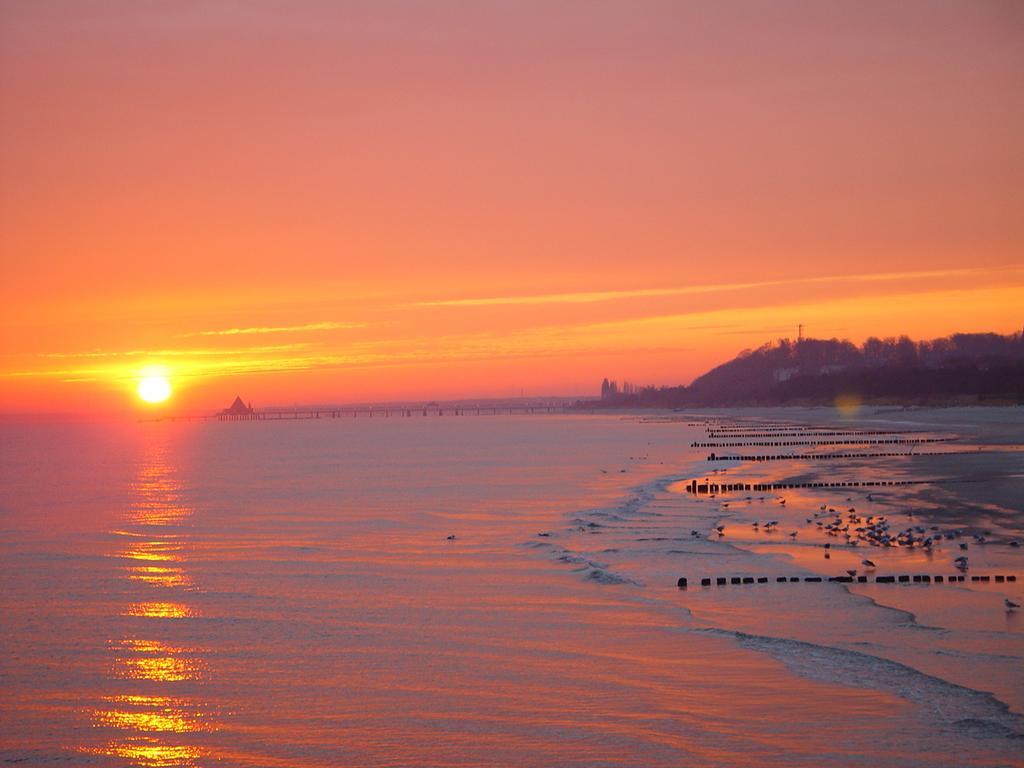 Bio-Hotel Gutshof Insel Usedom Mellenthin Buitenkant foto